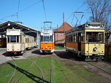 1.000- jährige Grafeneiche 