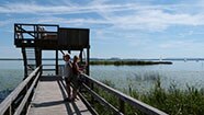 Rundweg Steinhuder Meer